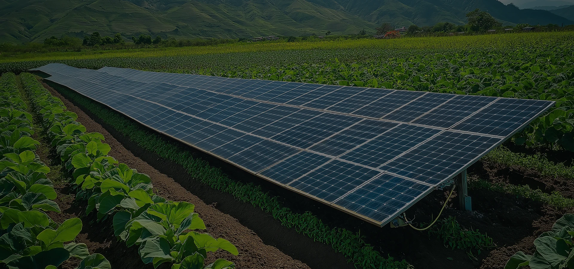 Des solutions pour la maitrise des pratiques agricoles et de l-assurance des exploitations