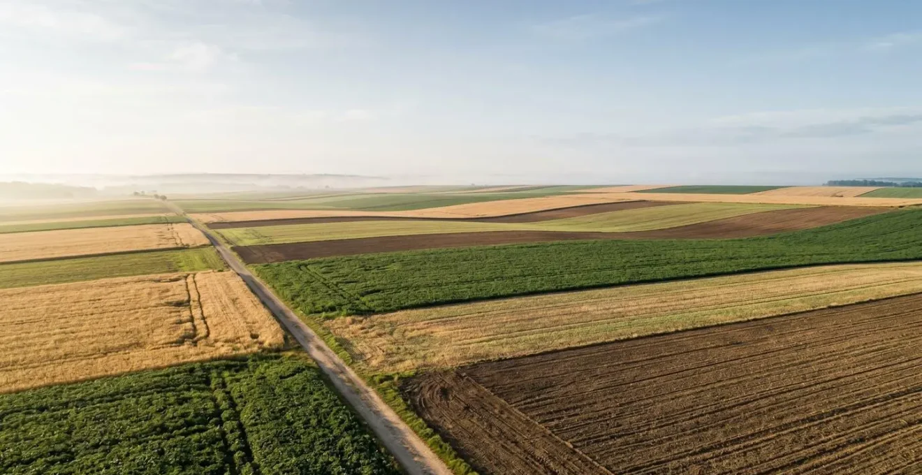 Vue aérienne d'un paysage agricole montrant une mosaïque de parcelles en rotation avec différentes cultures et couleurs de végétation