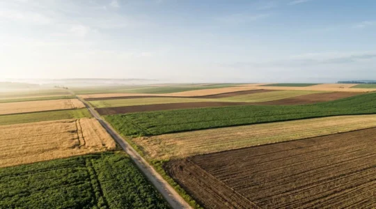Vue aérienne d'un paysage agricole montrant une mosaïque de parcelles en rotation avec différentes cultures et couleurs de végétation