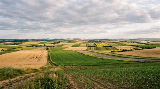 Exploitation agricole avec plusieurs cultures diversifiées pour protéger le revenu face aux crises de marché